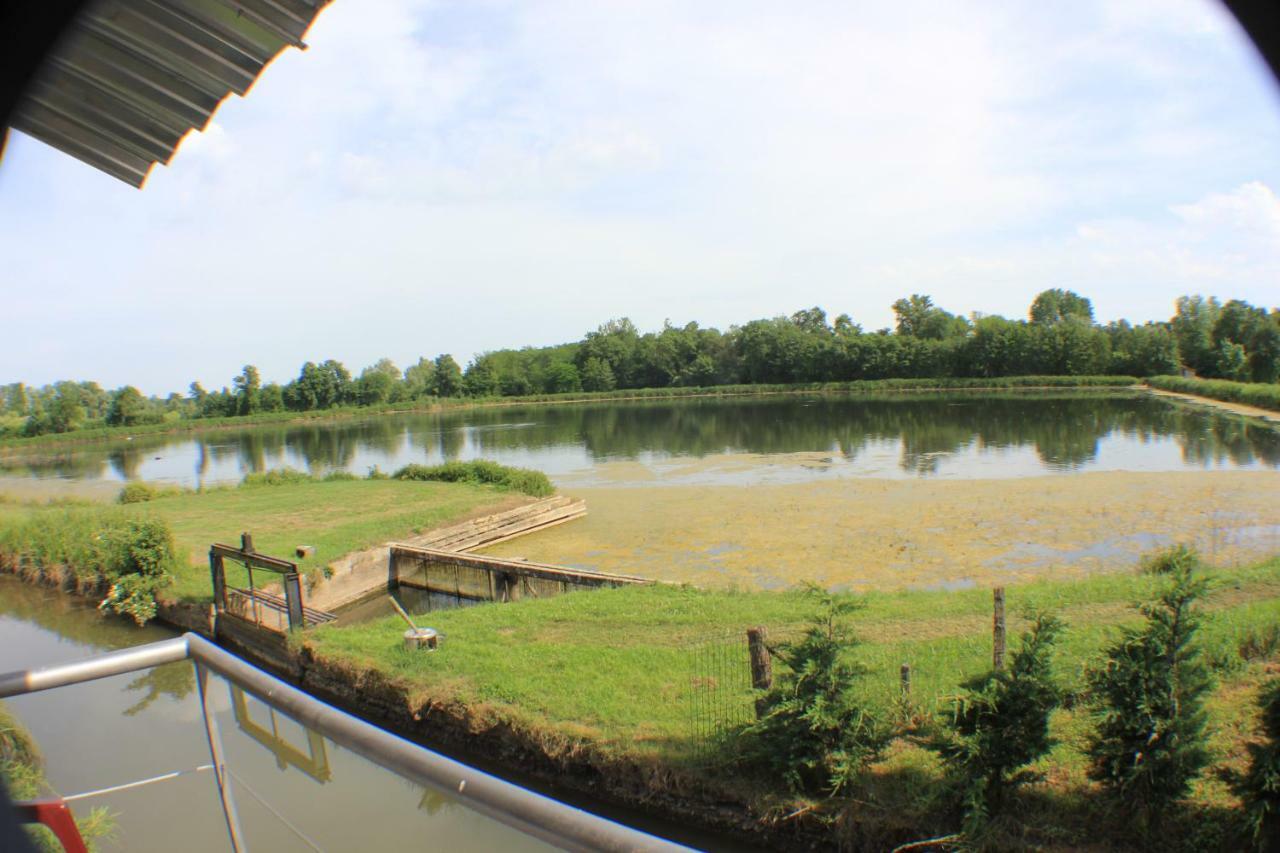 Le Moulin Traffay Guest House Saint-Didier-sur-Chalaronne Exterior foto